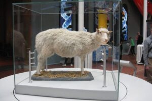 Dolly the sheep scientist Sir Ian Wilmut passes away at 79