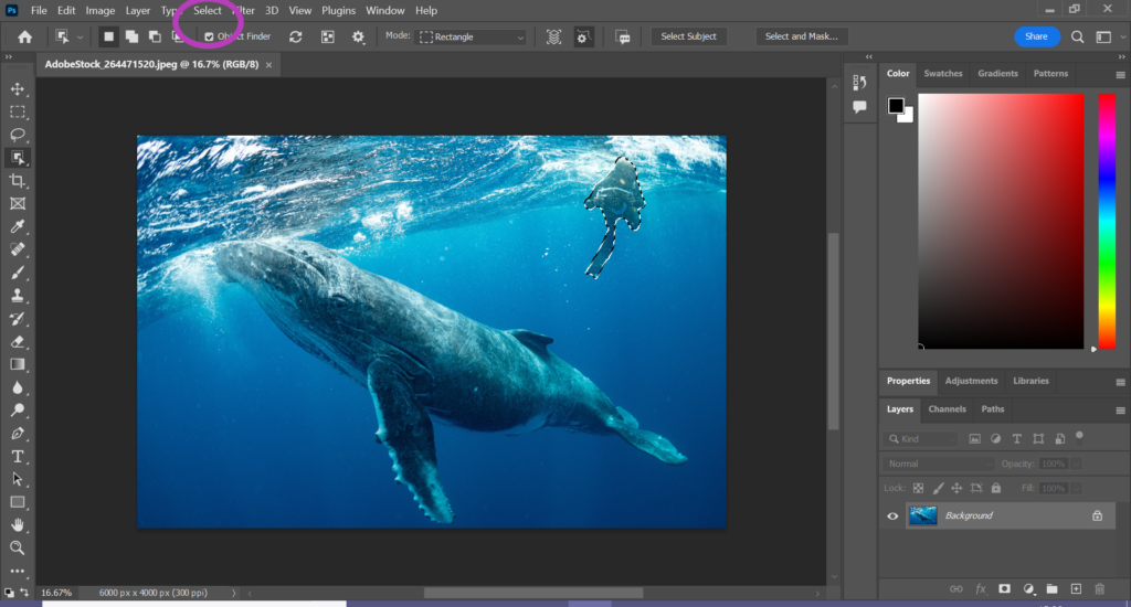 How to Download the Photoshop Beta