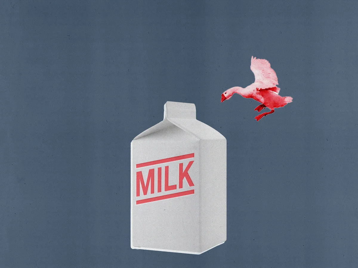 Milking the Myth: Why Milk Has Lost Its Magic